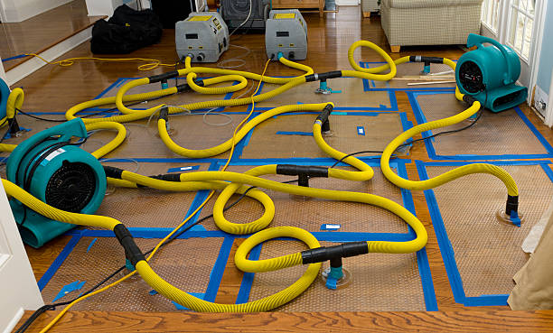 Professional Crawl Space Water Removal technician working in The Plains, VA